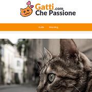 Gatti Che Passione